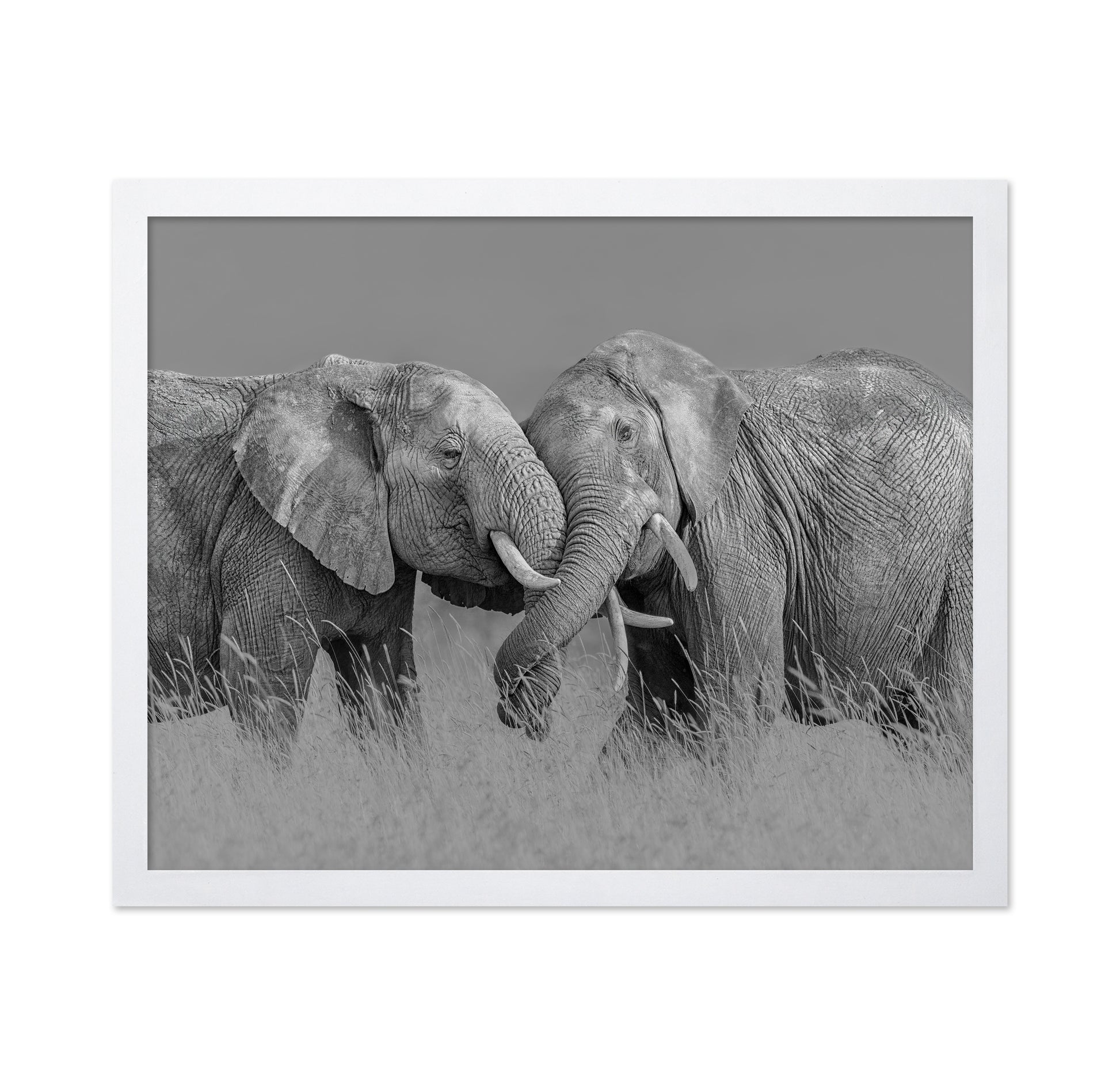 Elephant Flight