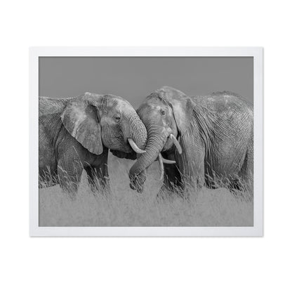 Elephant Flight