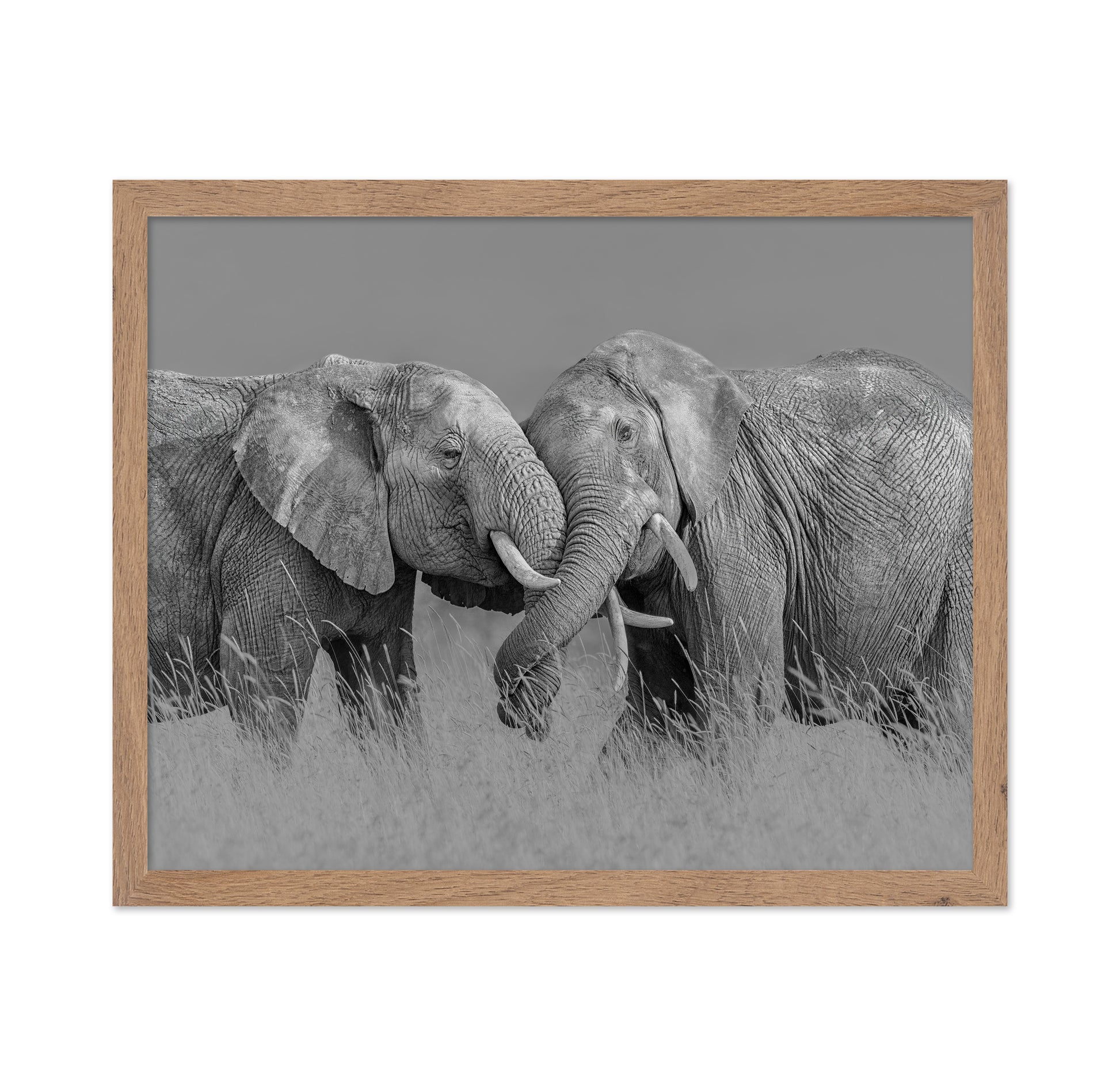 Elephant Flight
