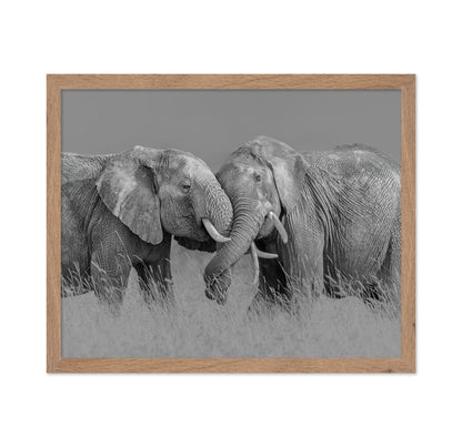 Elephant Flight