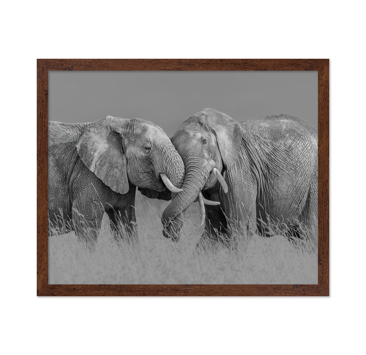 Elephant Flight