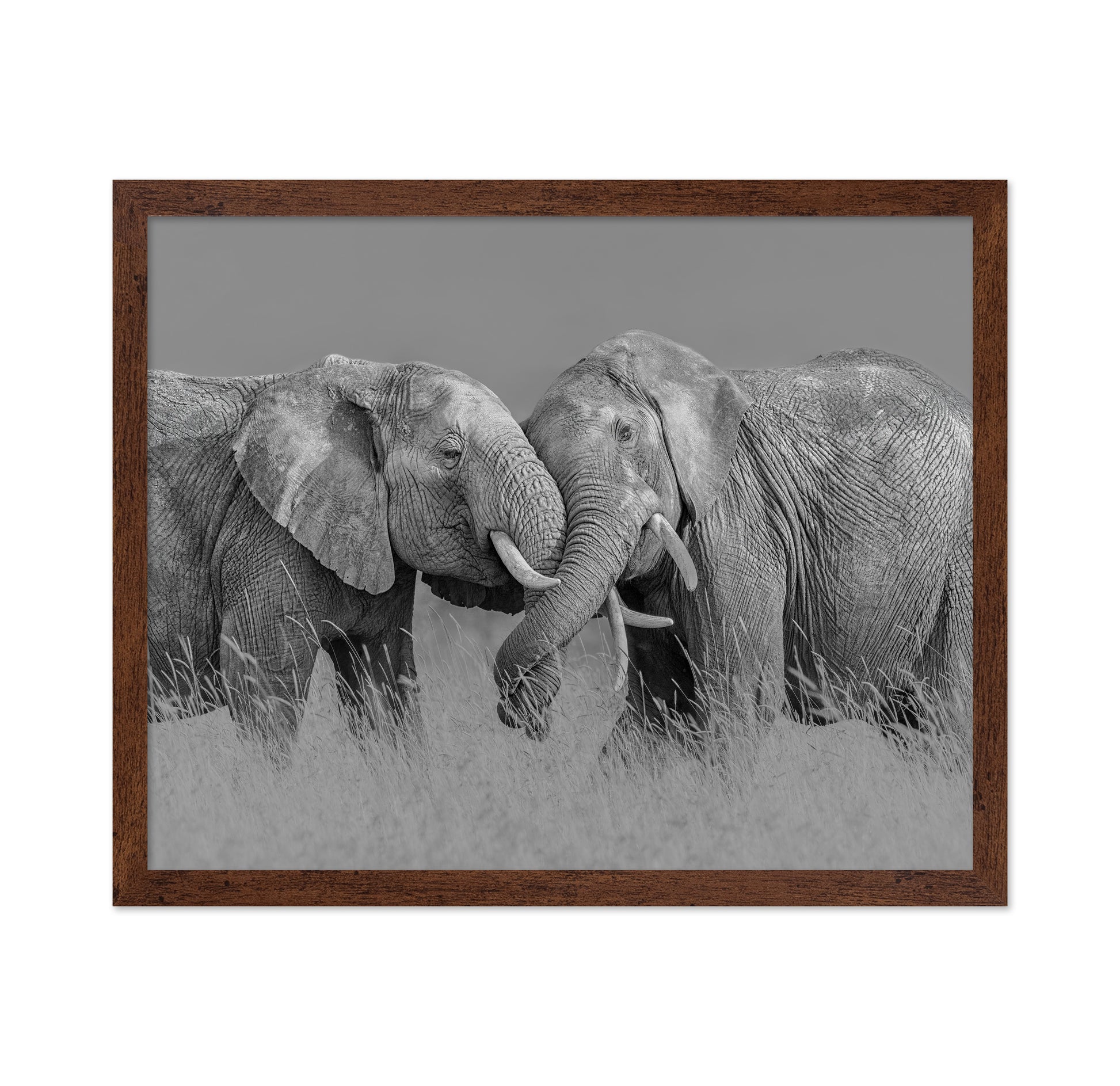Elephant Flight