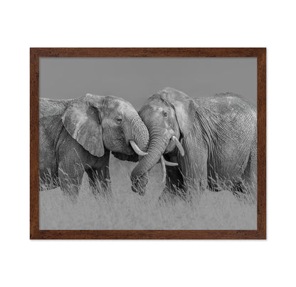 Elephant Flight