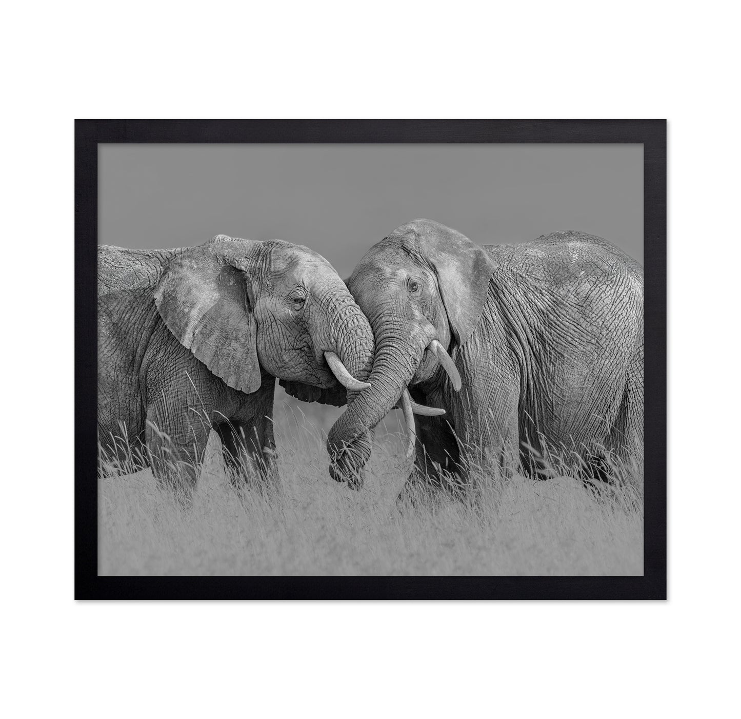 Elephant Flight
