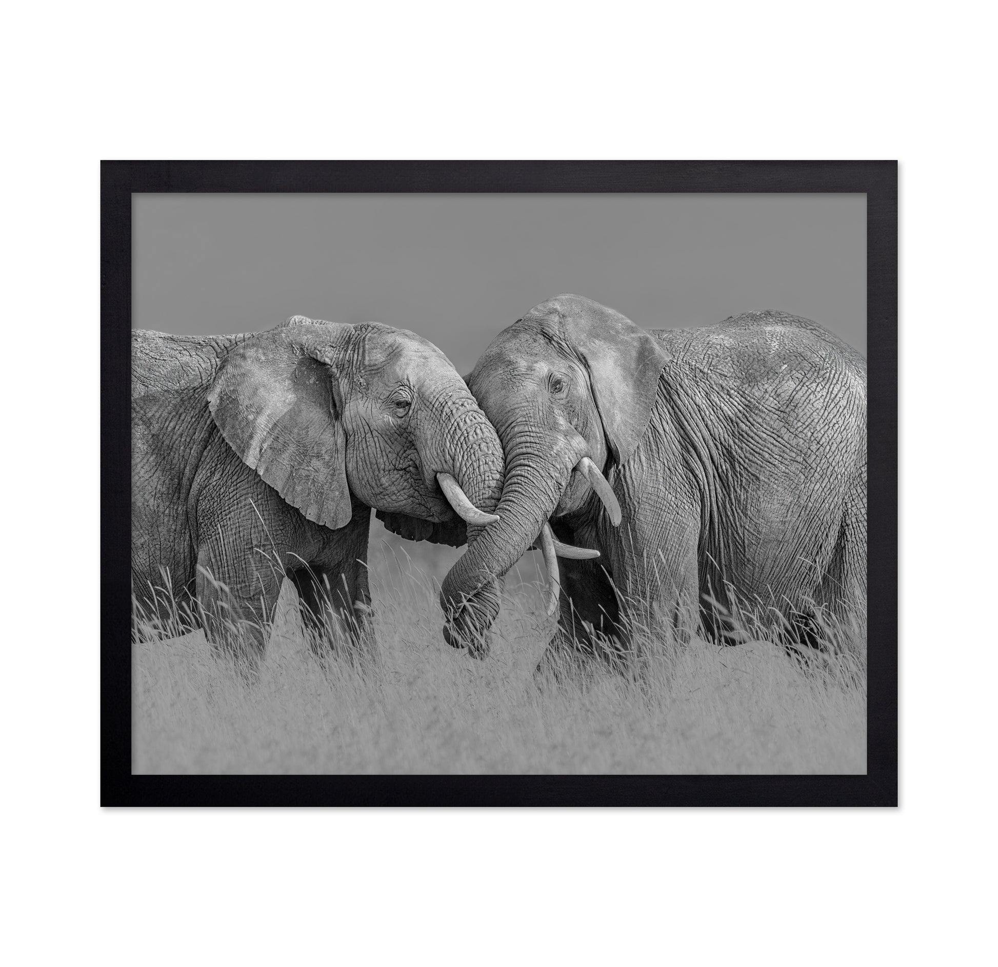 Elephant Flight