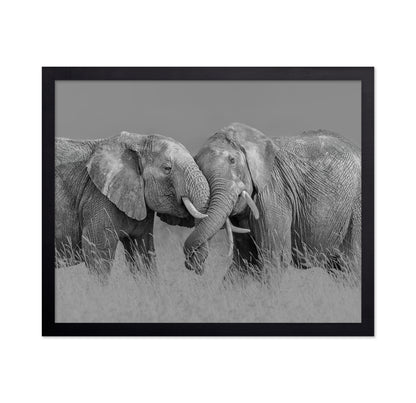Elephant Flight