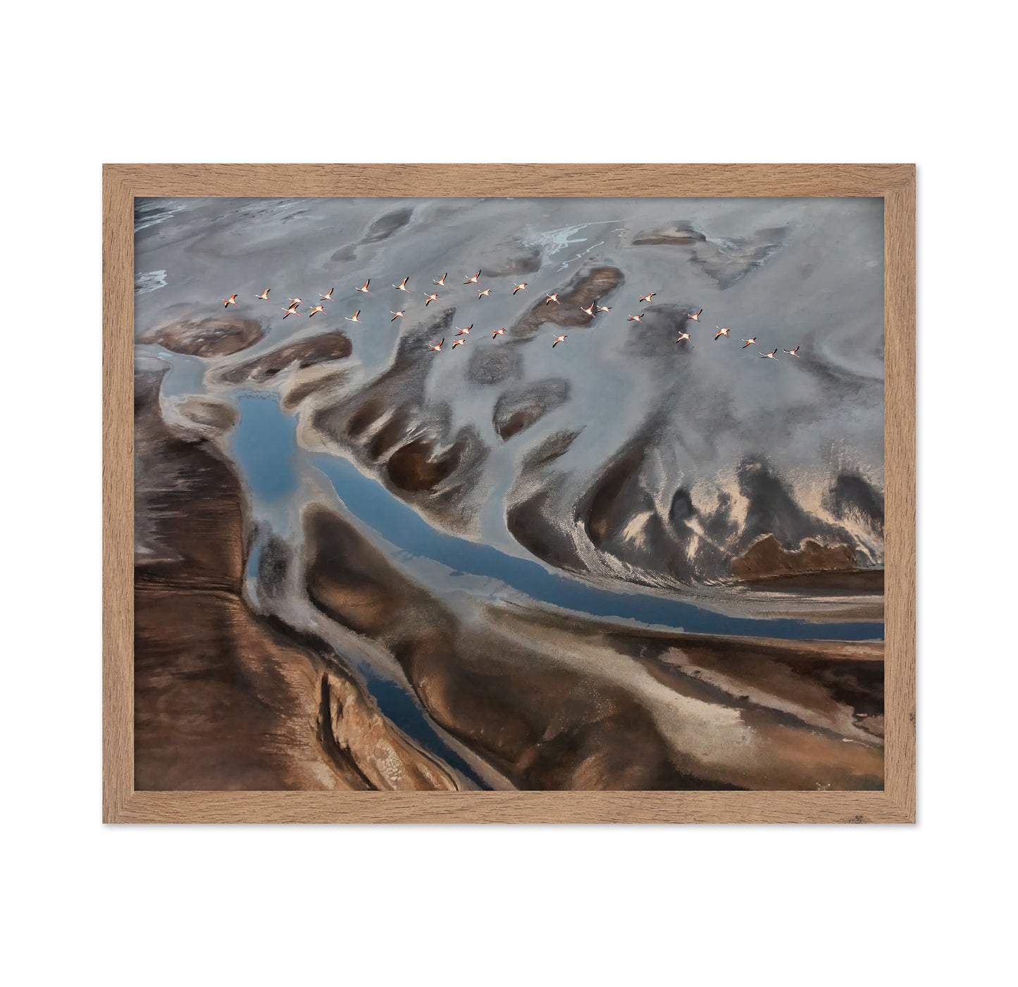 The Land