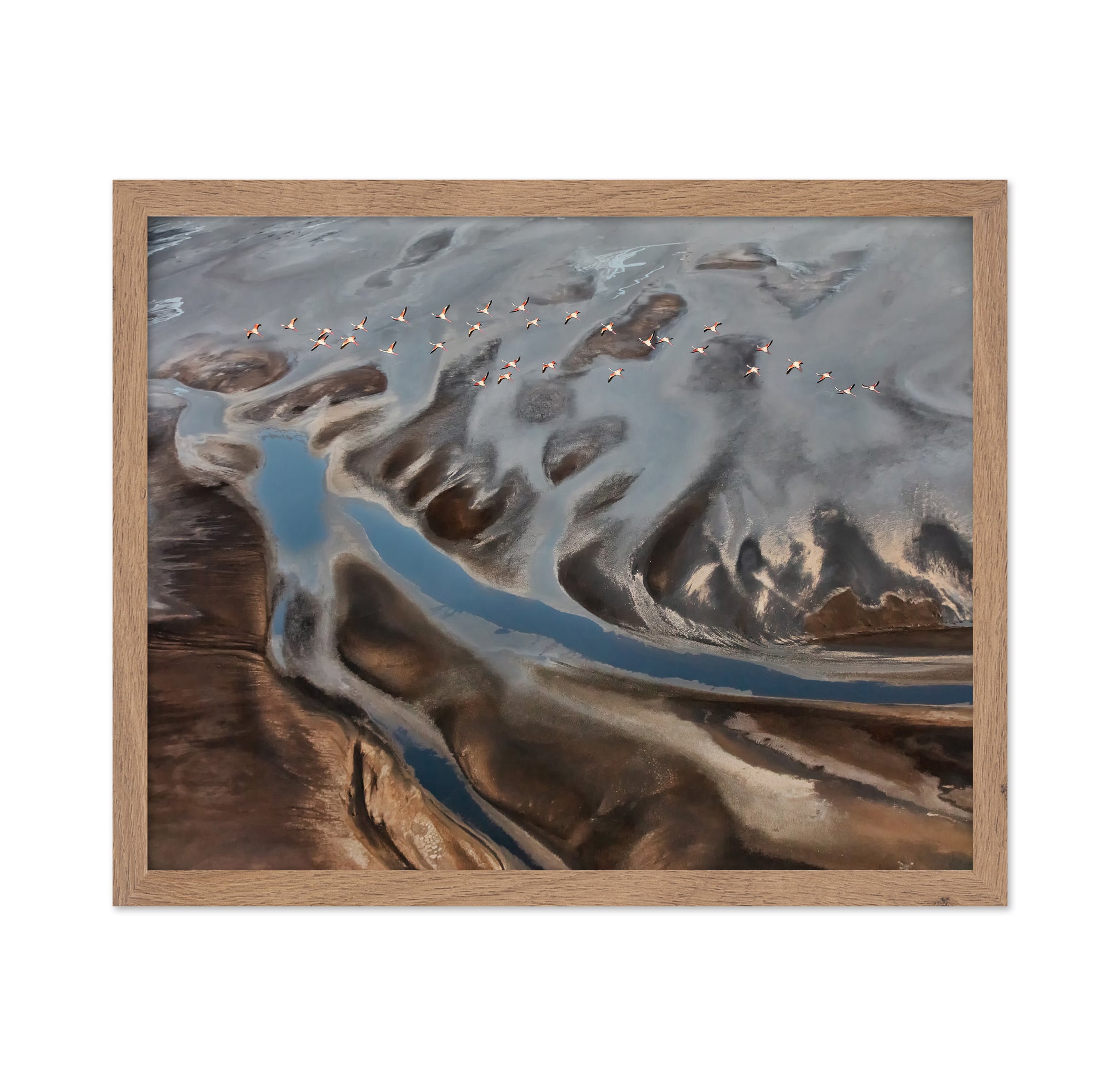 The Land