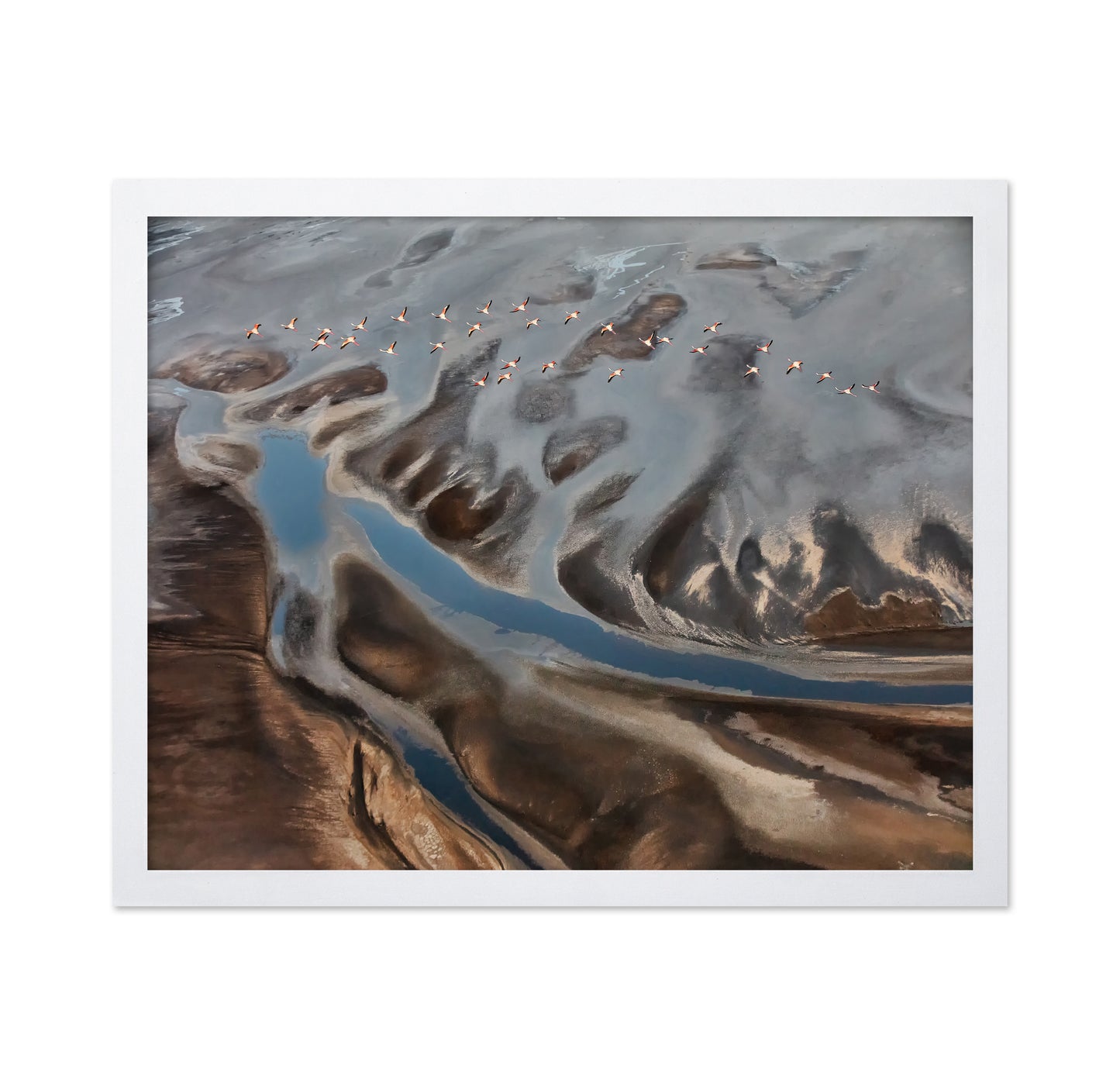 The Land