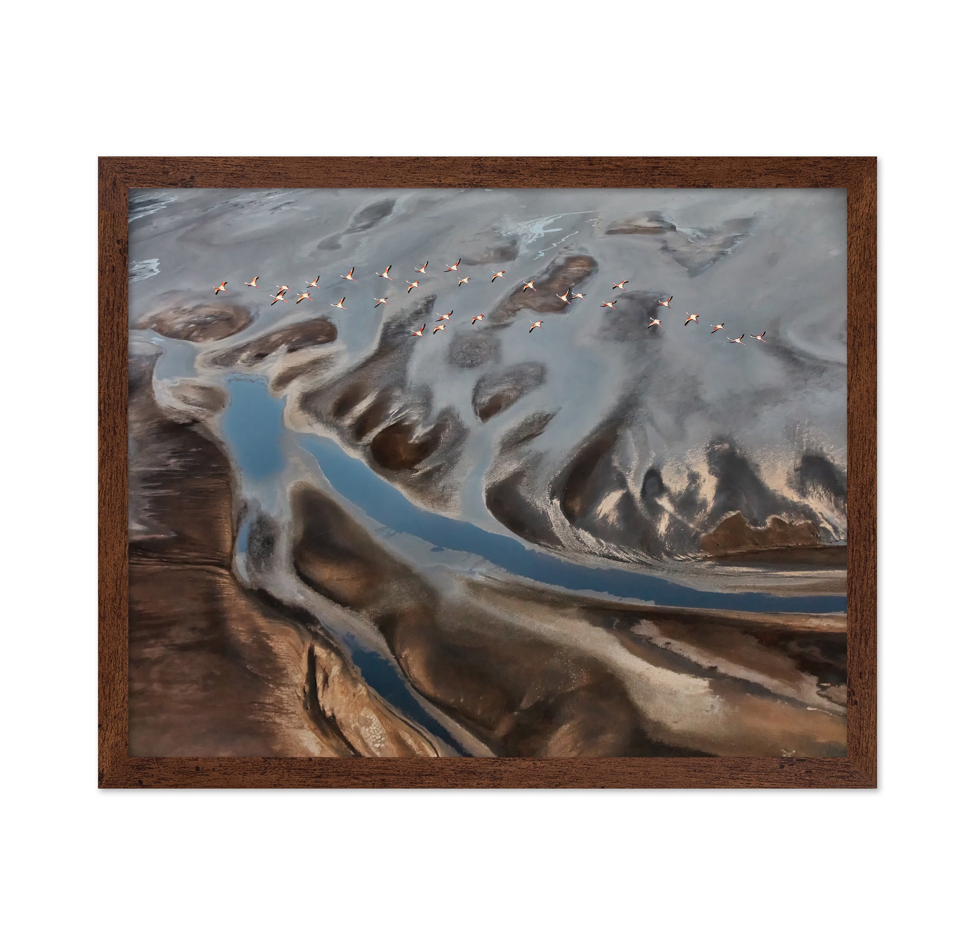 The Land