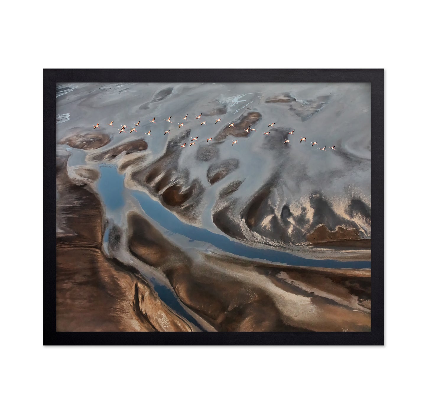 The Land