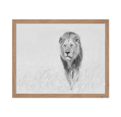 The King of The Prairie