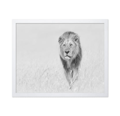 The King of The Prairie