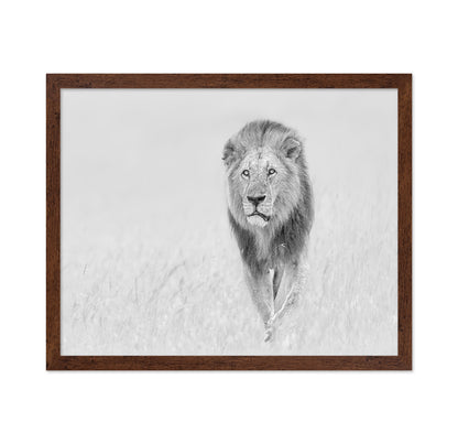 The King of The Prairie