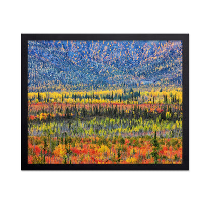Fall Color in The Mountain