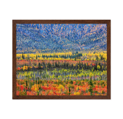 Fall Color in The Mountain