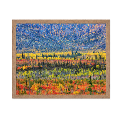 Fall Color in The Mountain