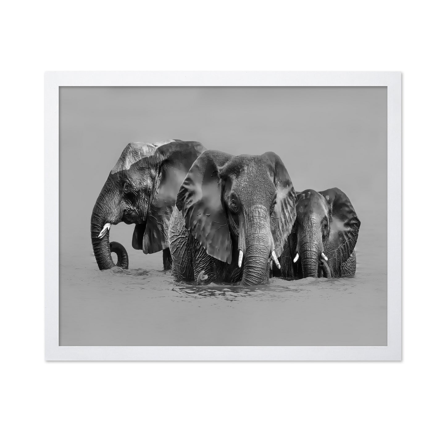 Elephant Crossing The River