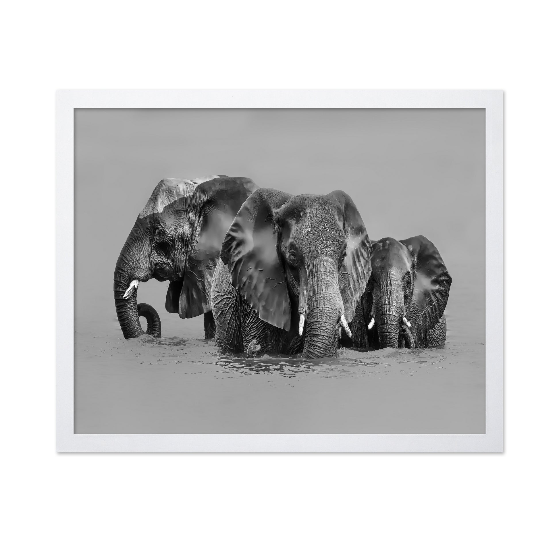 Elephant Crossing The River