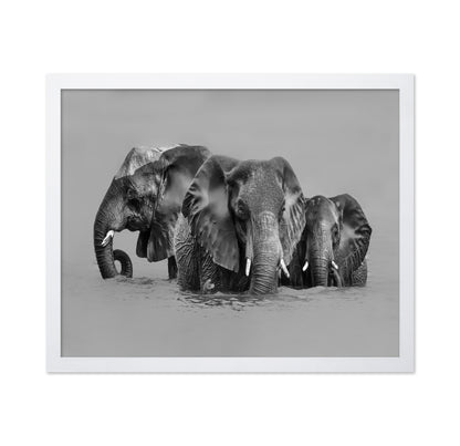 Elephant Crossing The River