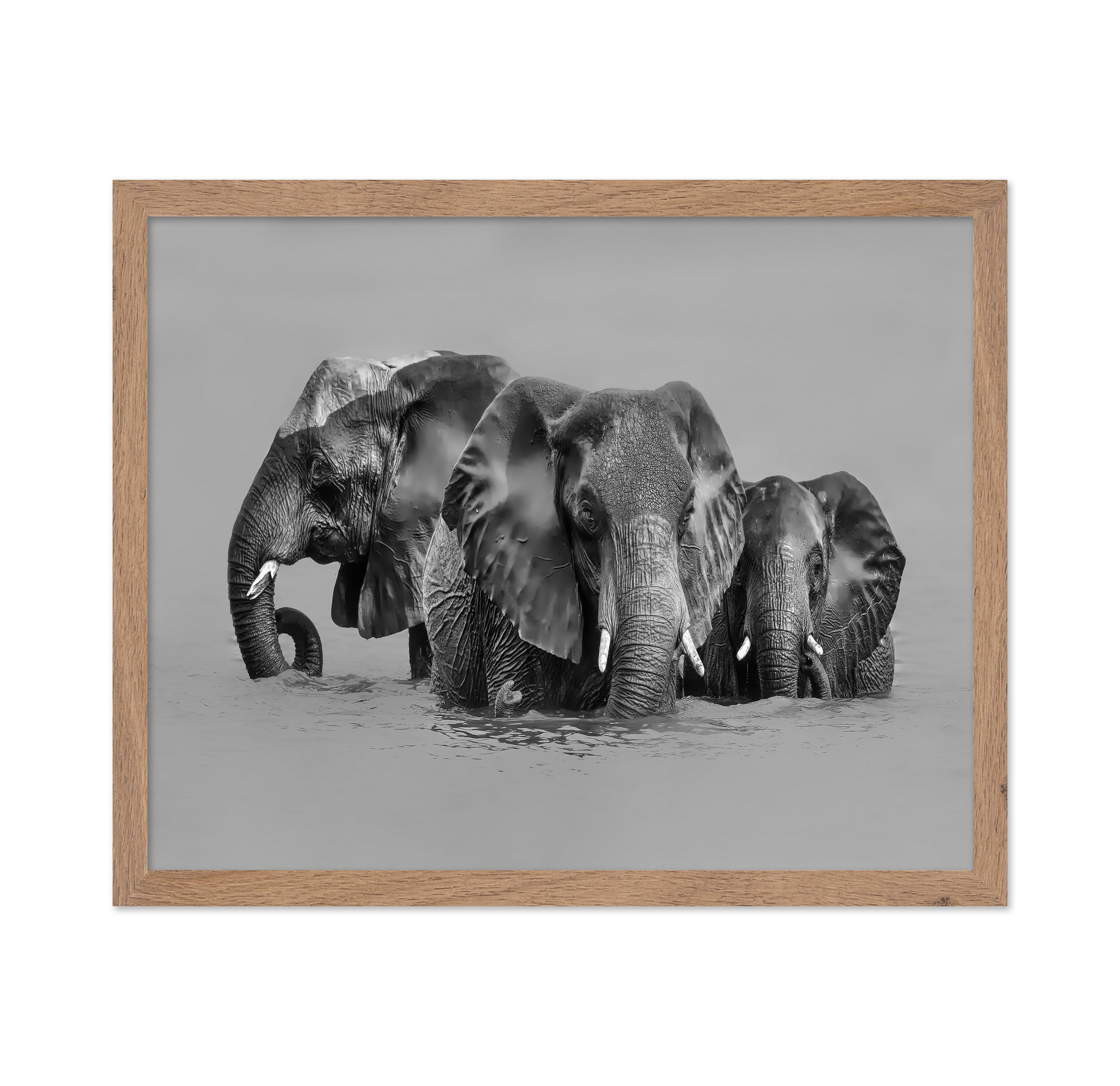 Elephant Crossing The River