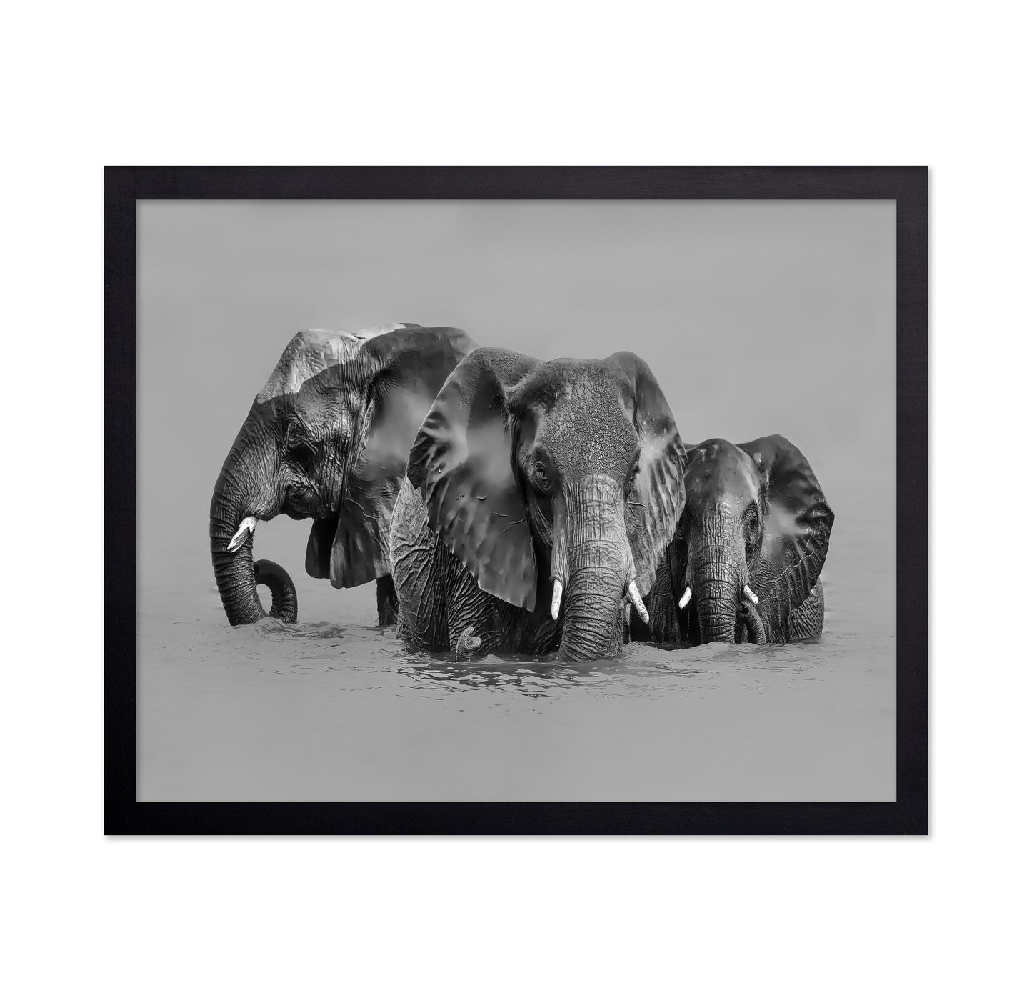 Elephant Crossing The River