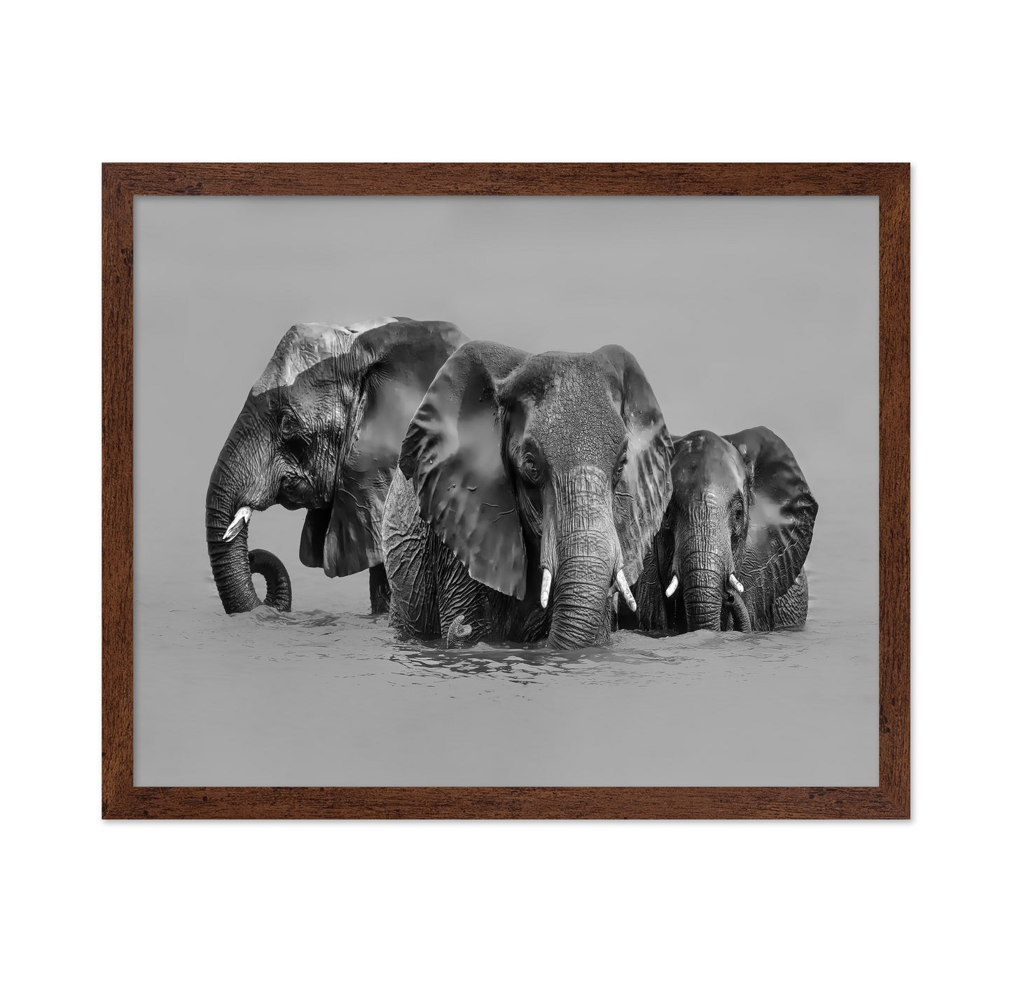 Elephant Crossing The River