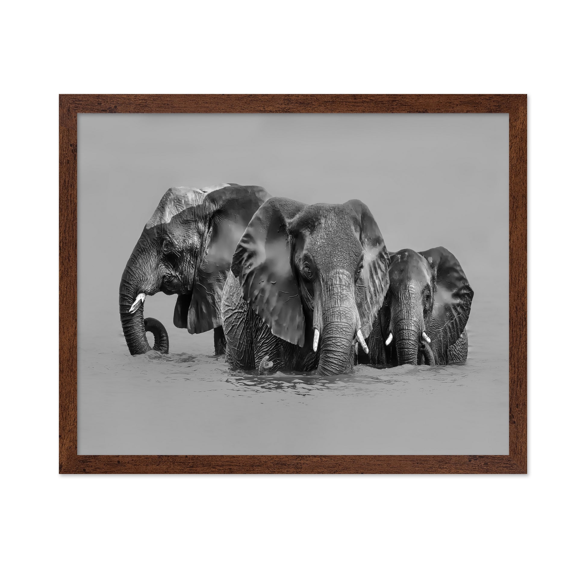 Elephant Crossing The River