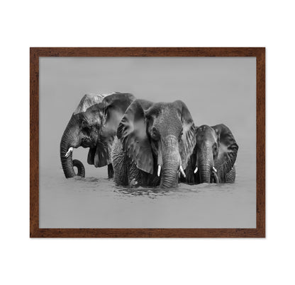 Elephant Crossing The River