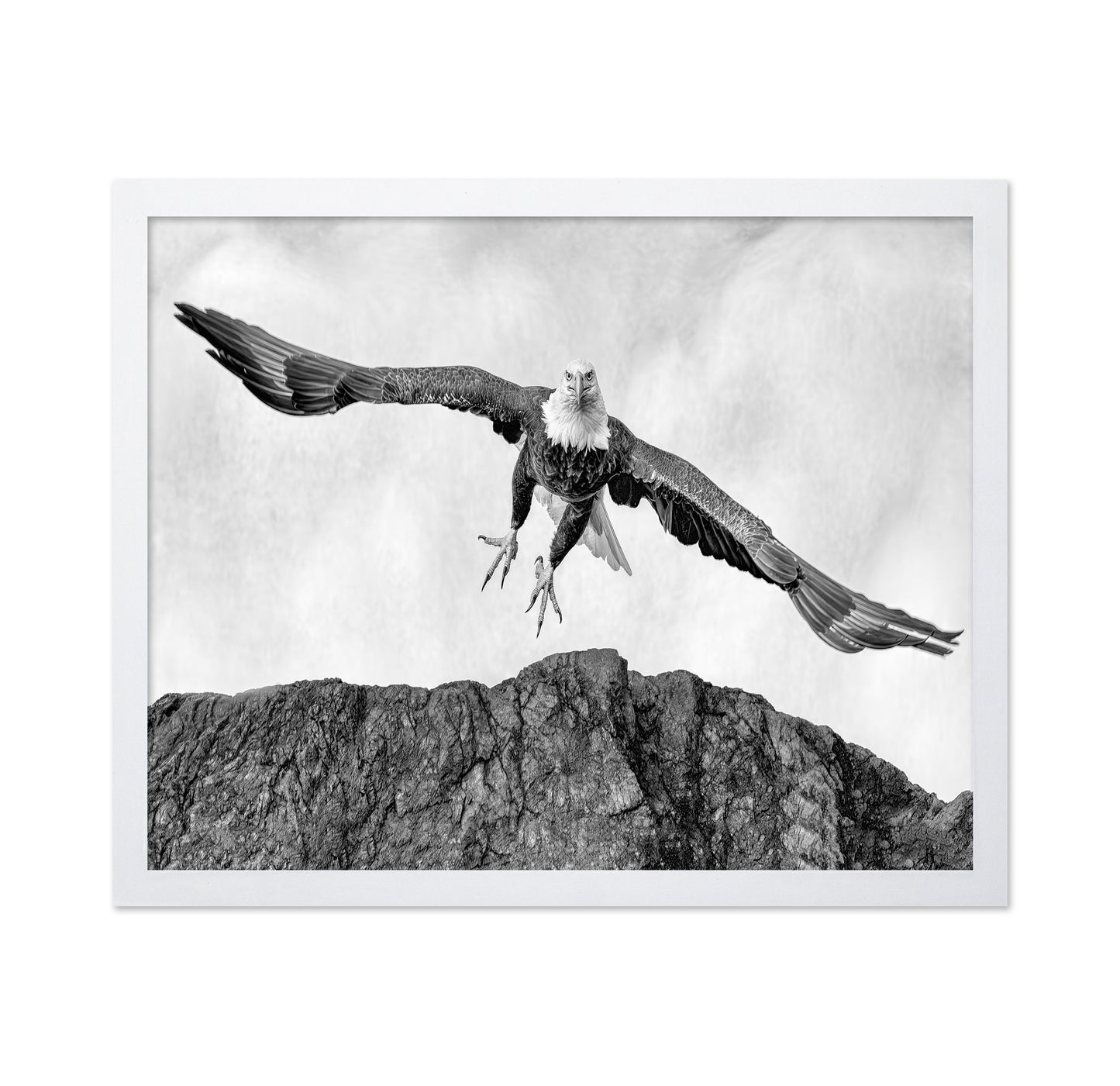 Bald Eagle In Flight