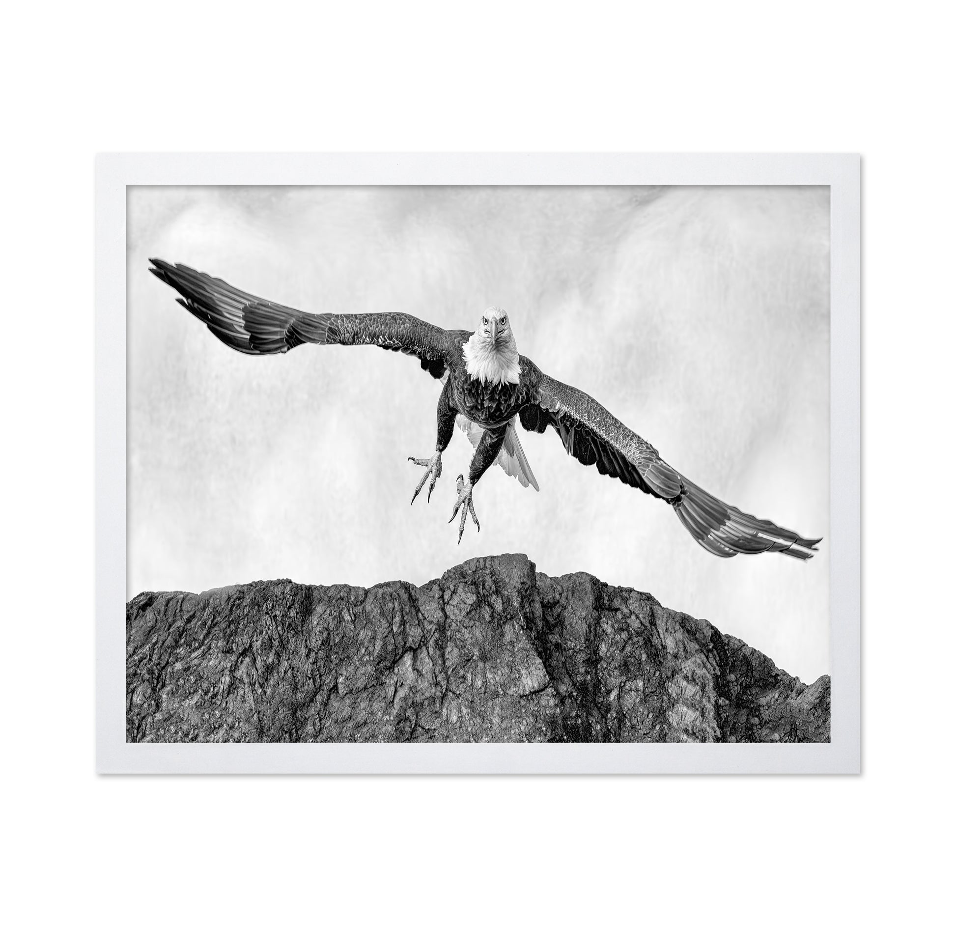 Bald Eagle In Flight
