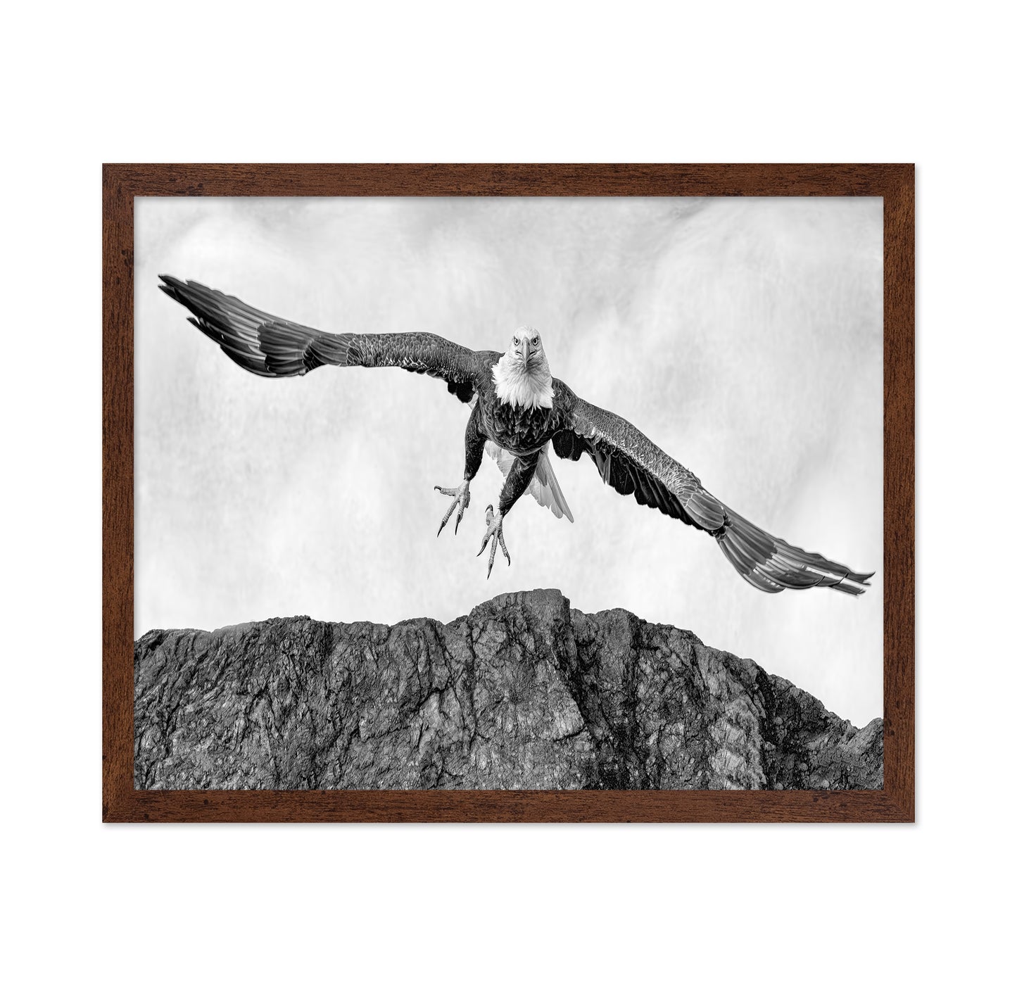 Bald Eagle In Flight
