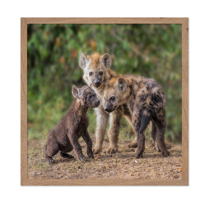 Baby Hyena