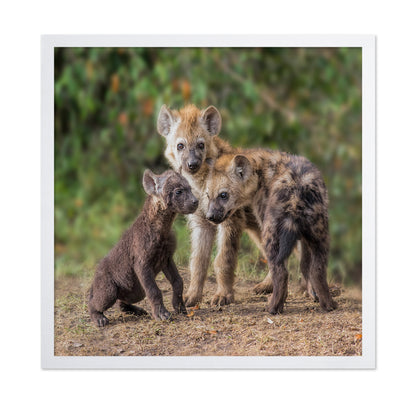 Baby Hyena