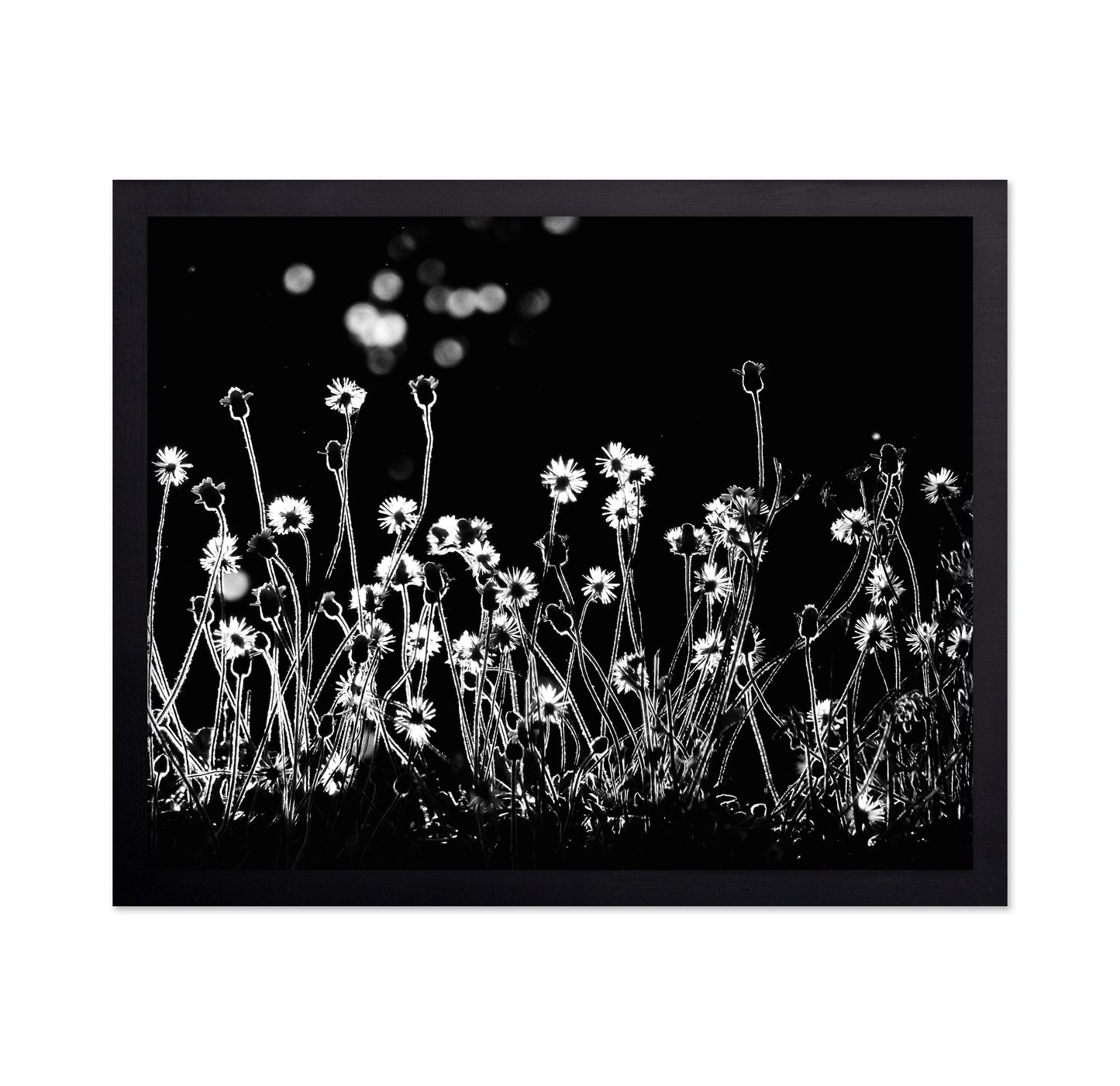 The Little Flowers