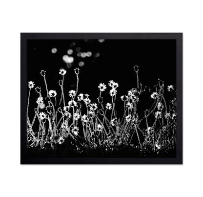 The Little Flowers