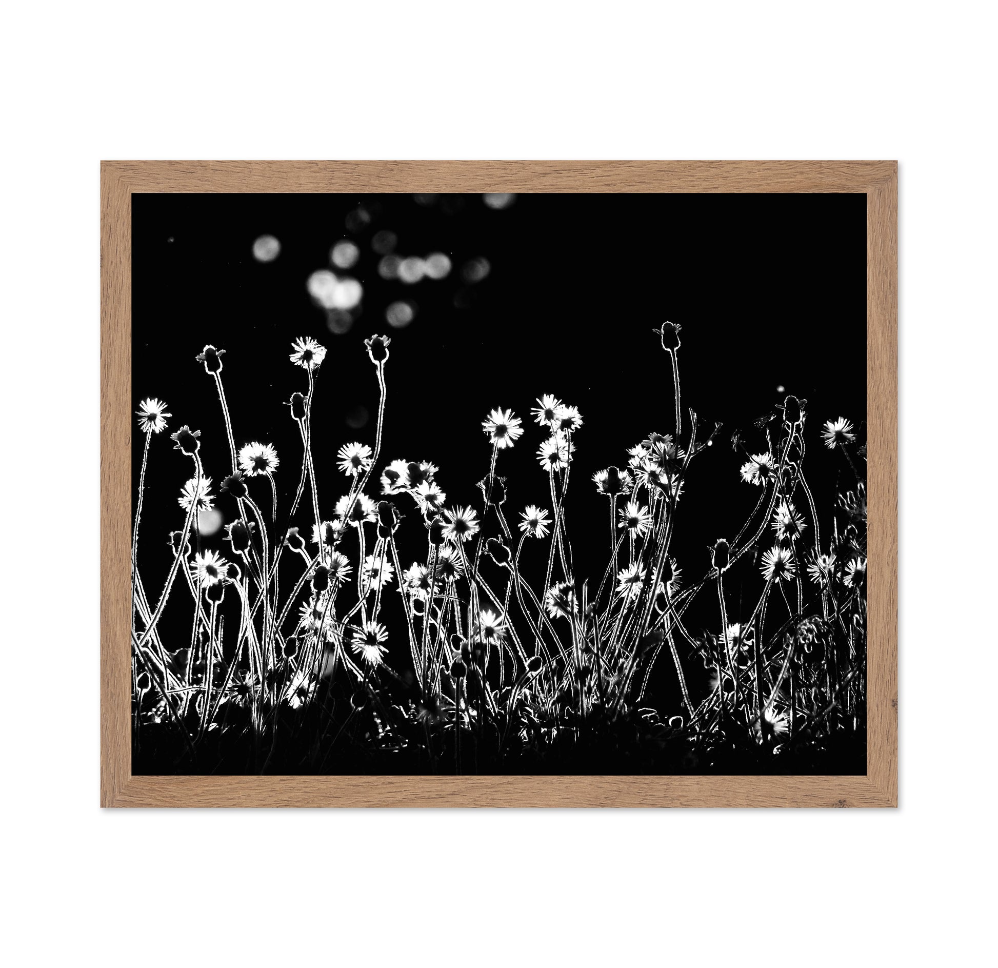 The Little Flowers