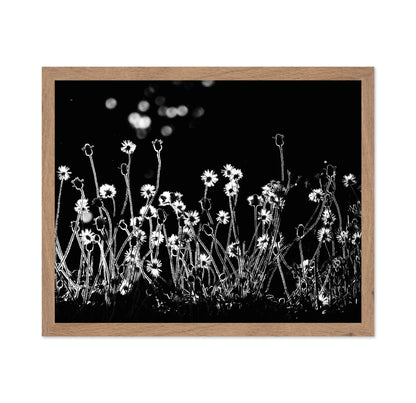 The Little Flowers