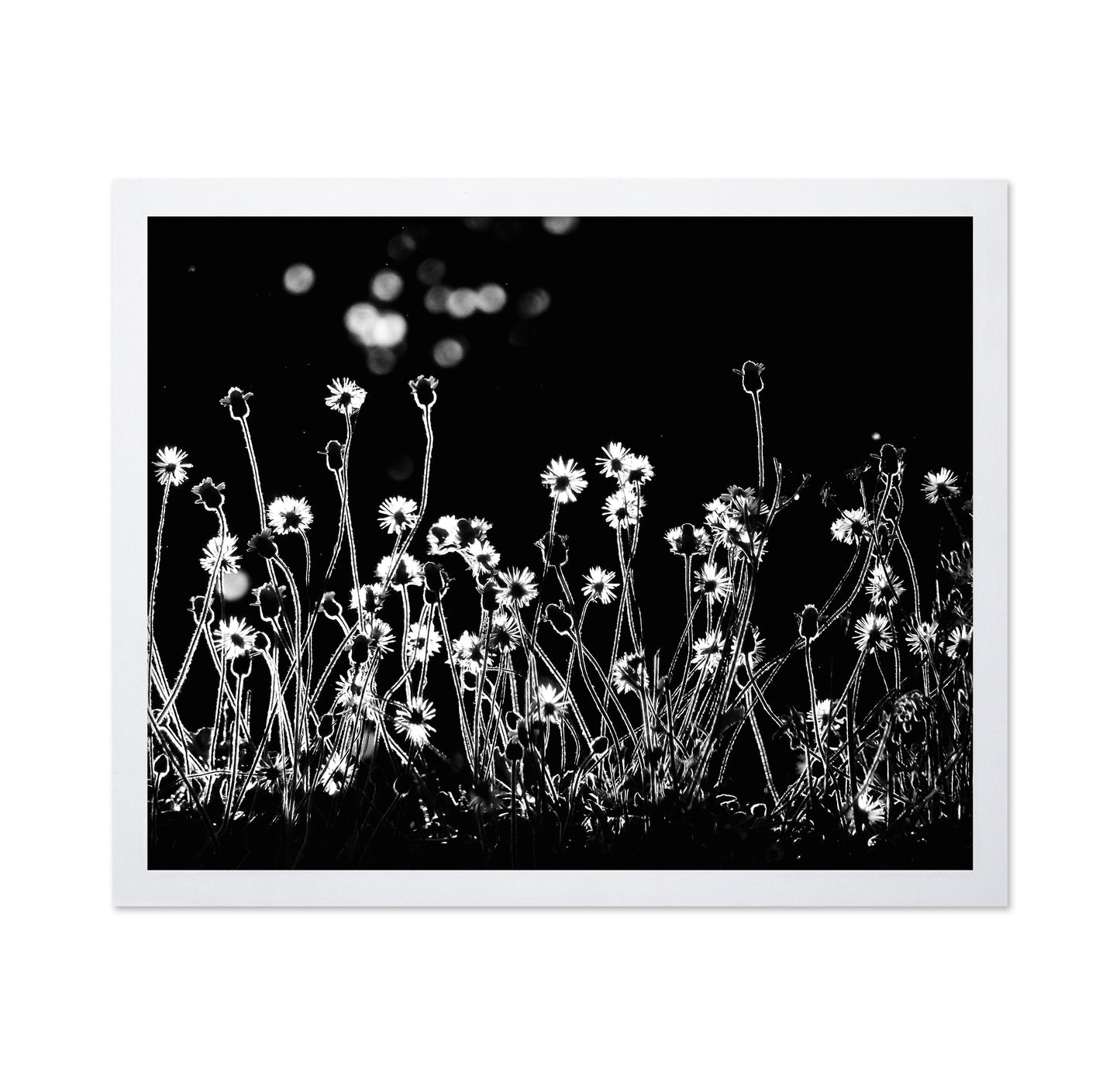 The Little Flowers