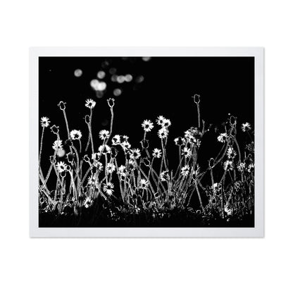 The Little Flowers
