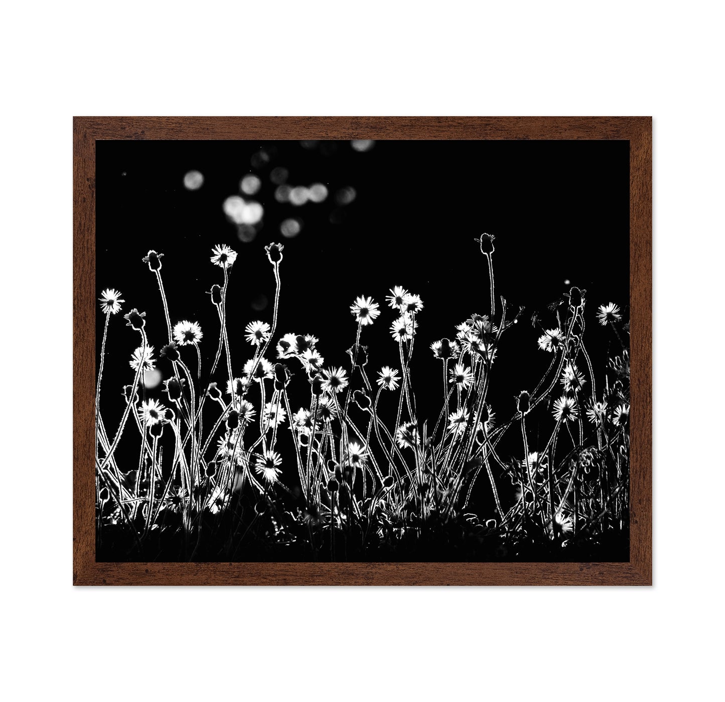 The Little Flowers