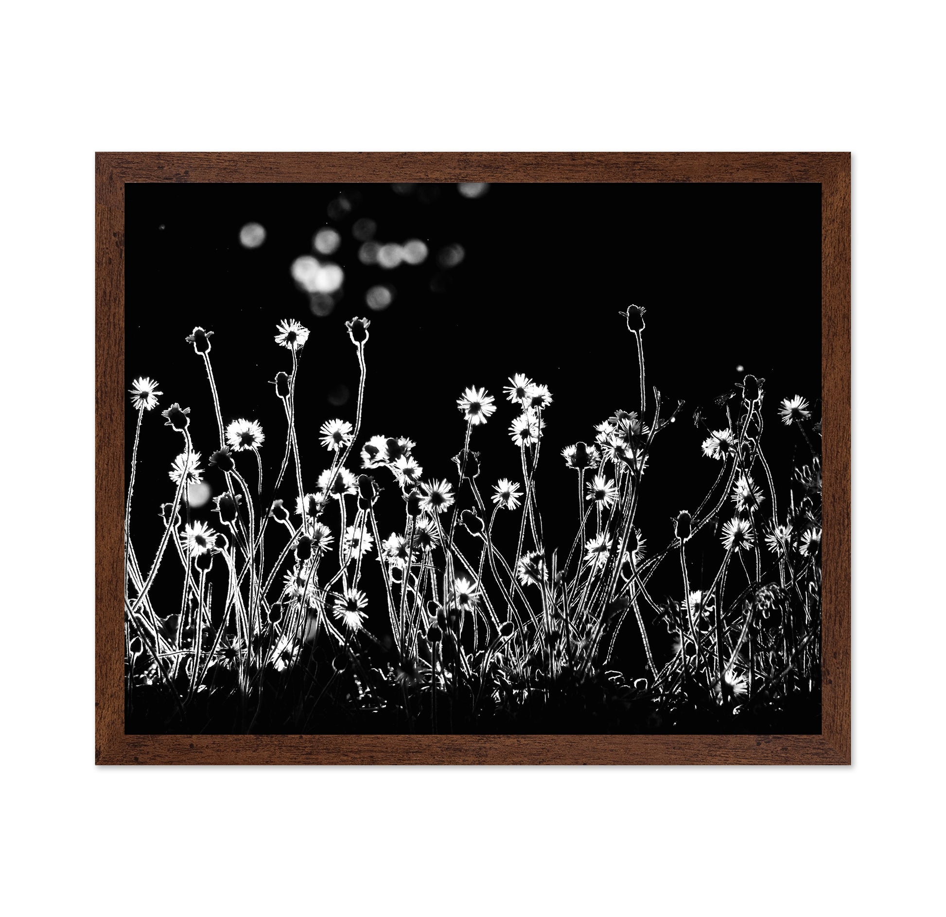 The Little Flowers