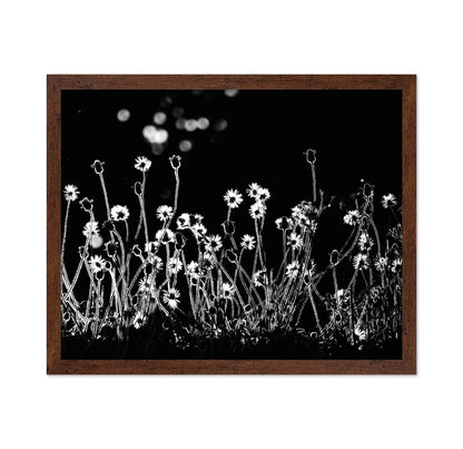 The Little Flowers