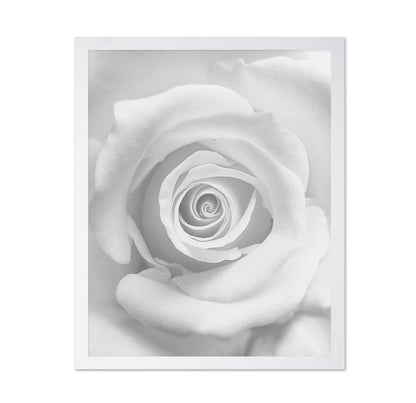 The Rose