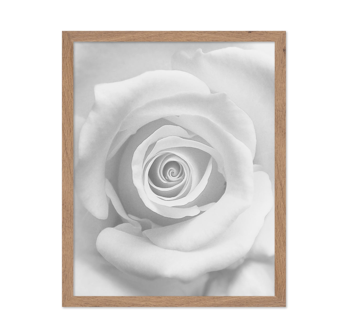 The Rose