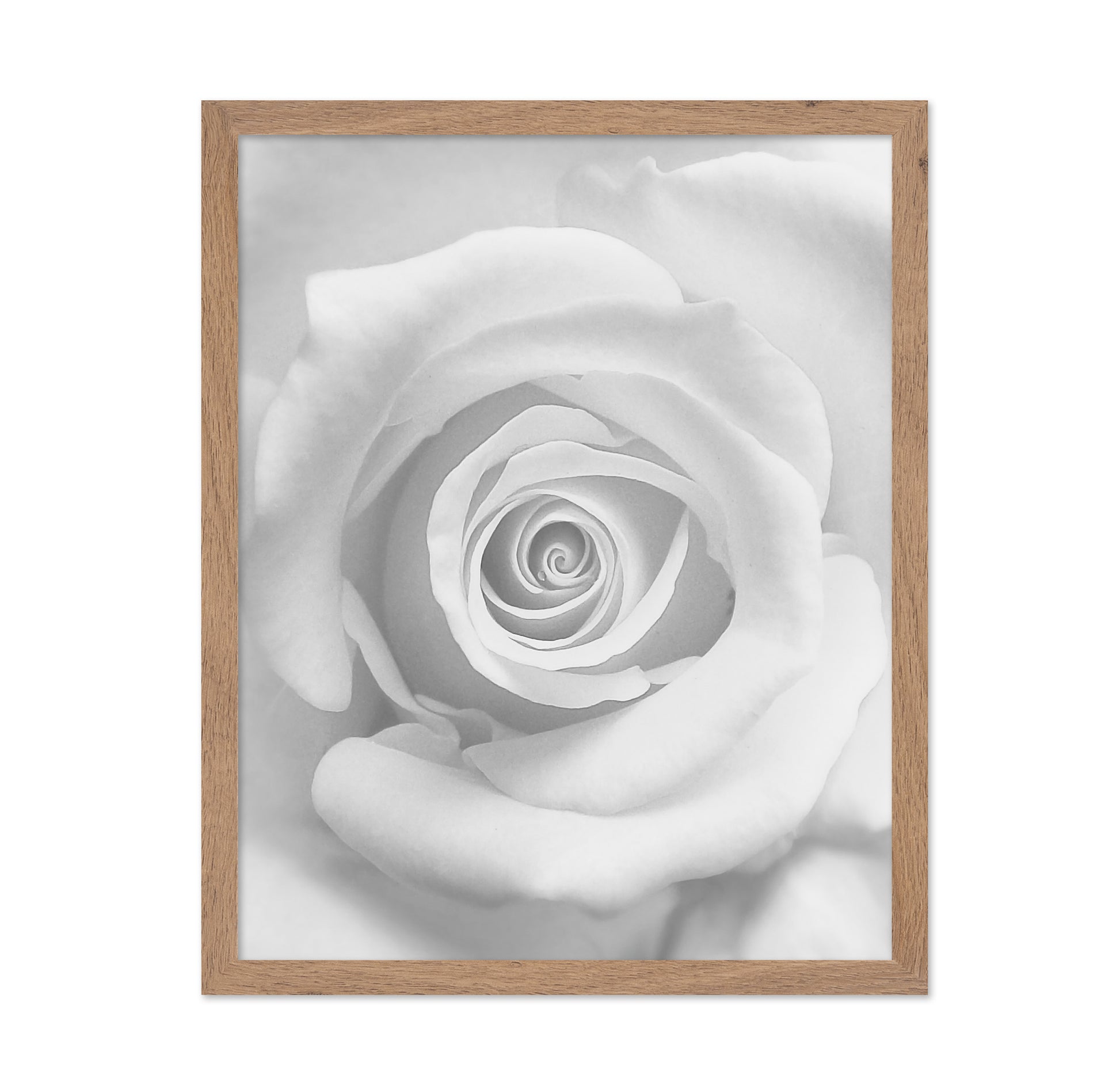 The Rose