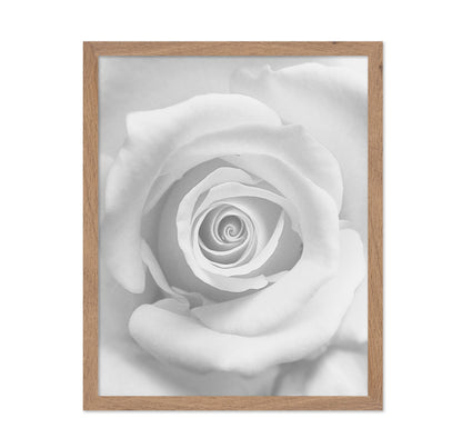 The Rose