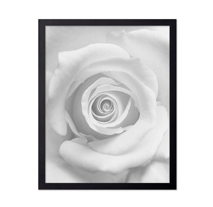 The Rose