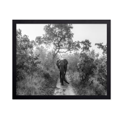 Walking Giant