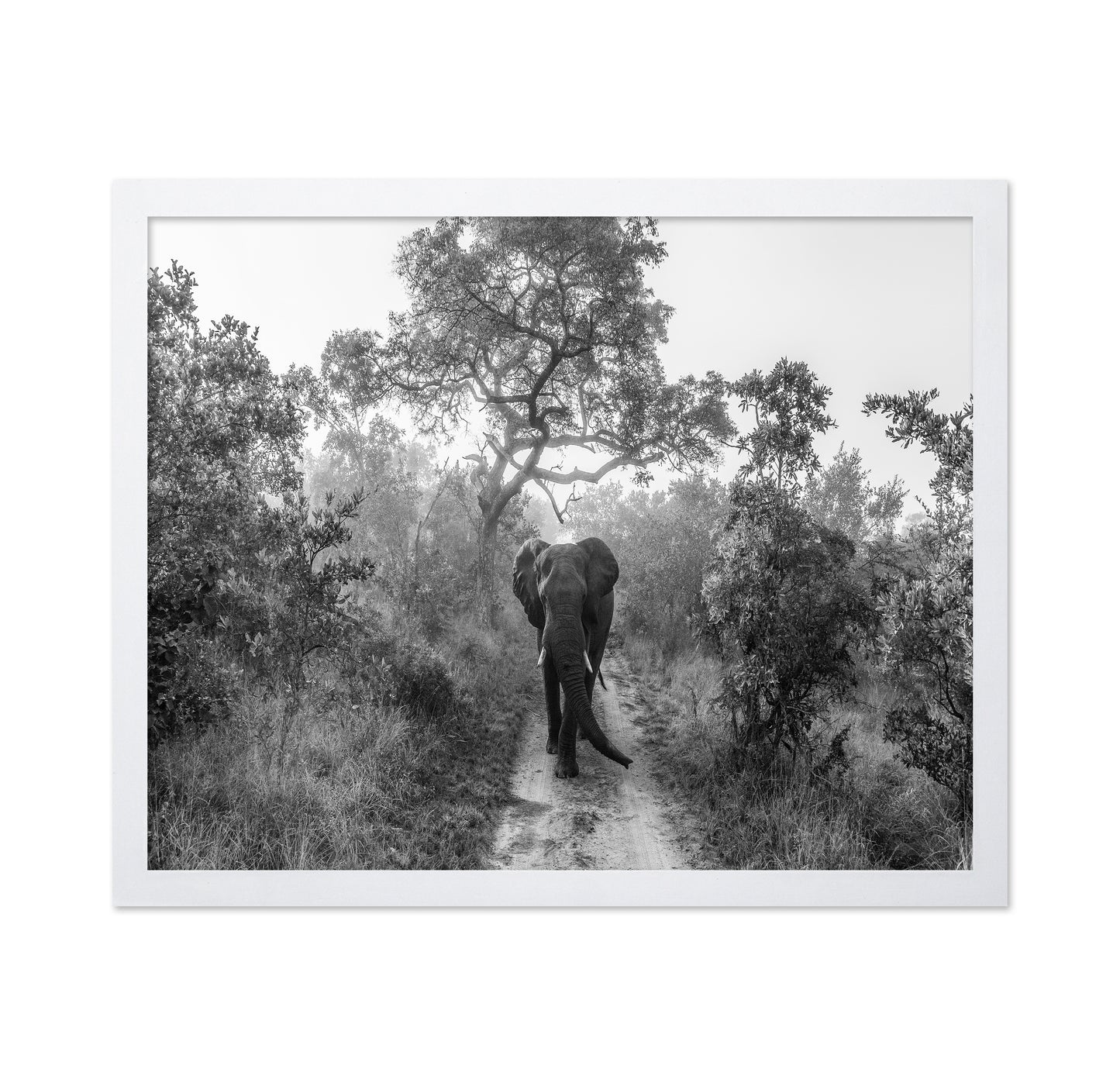 Walking Giant